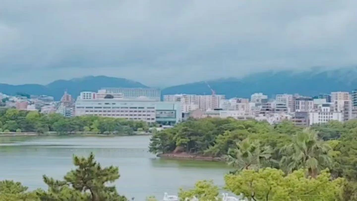 ブログ